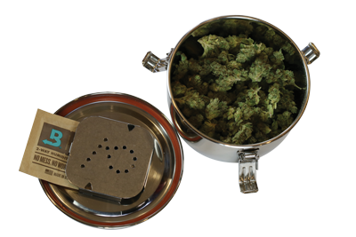 Curing Cannabis with Boveda in a Cvault