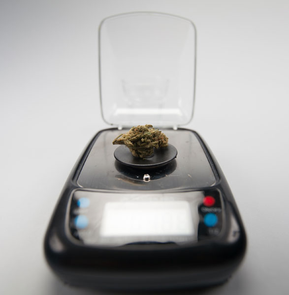Cannabis Scale