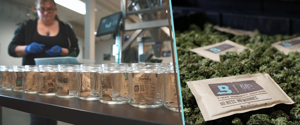 Boveda and cannabis at Nectar.