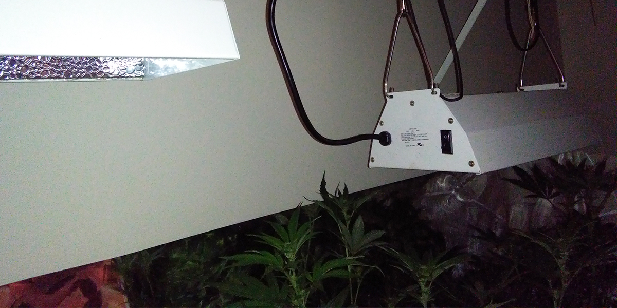 Vertical_Light_Adjustment_Home_Grow