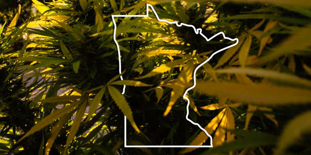 MN Cannabis State
