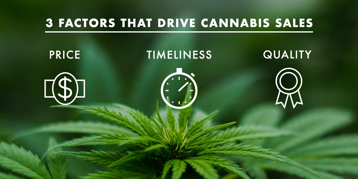 3 Factors That Drive Cannabis Sales