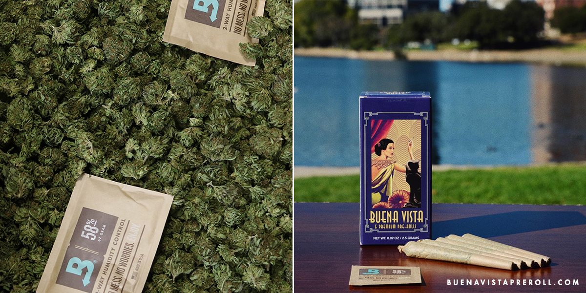 Buena Vista Preroll