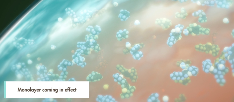 Magnified illustration of monolayer protecting cannabinoids and terpenes from evaporating off the trichome.