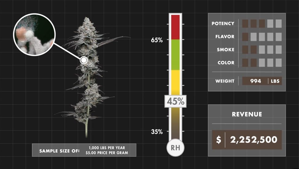 Cannabis stored at 45% RH. Even within that optimal RH range where cannabis flower realizes its full potential, there are still tens of thousands of dollars to be gained from precisely maintained RH. Additionally, cannabis in the optimal humidity range maximizes all the qualities that attract and retain customers.