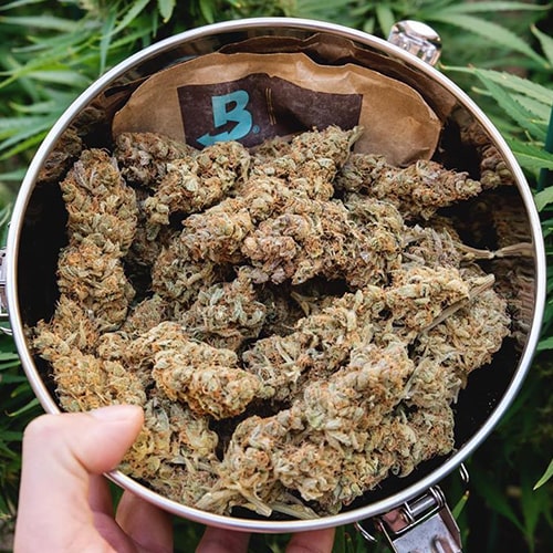Boveda terpene shield protecting smokable hemp