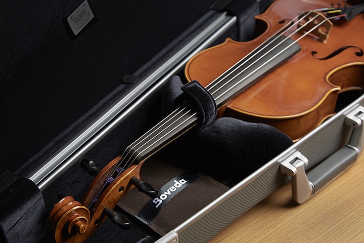 Boveda with viola