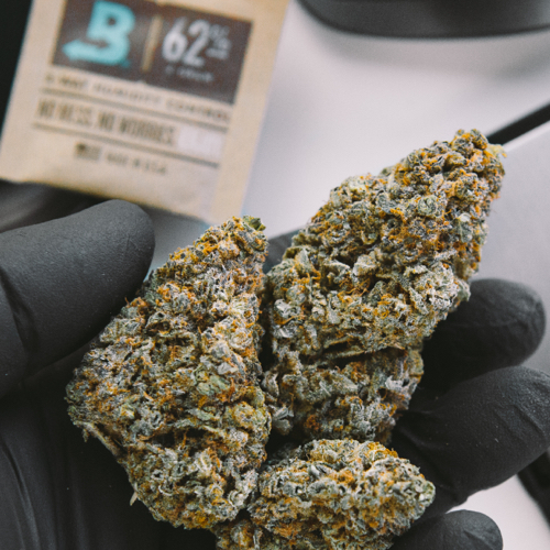 Cannabis in hand