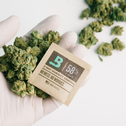 Holding cannabis and boveda