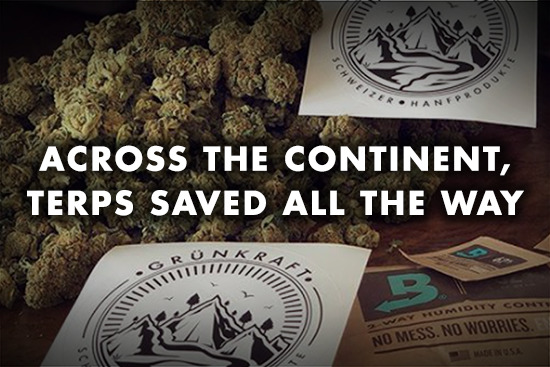 Switzerland's Grünkraft ships CBD-intensive flower worldwide. The cultivator protects the terpene profiles of all 12 strains by using a terpene shield created by Boveda.