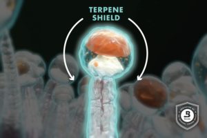Cannabis Terpene Shield