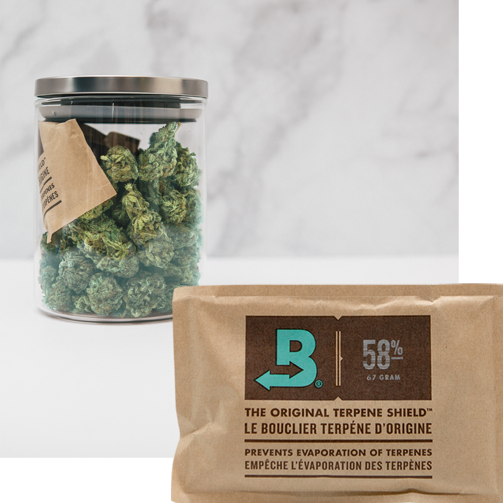 Cannabis terpenes are safe with terpene shield