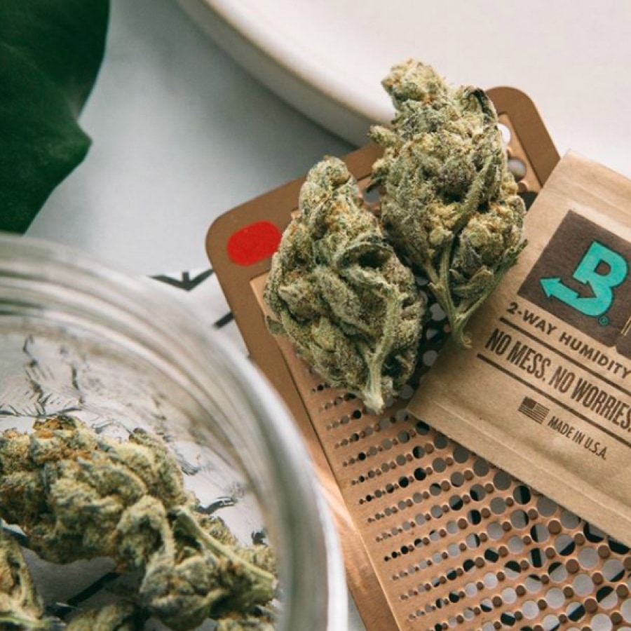 boveda and cannabis