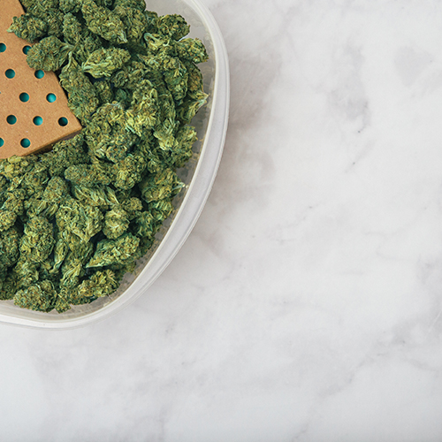 cannabis in food storage container with size 320 boveda