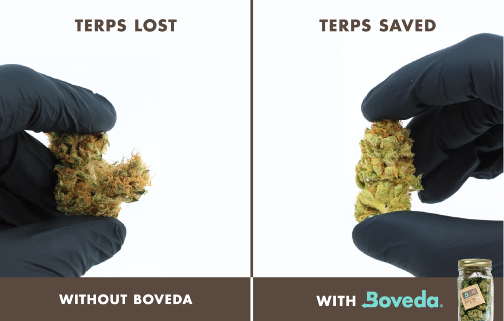 By Comparison, Cannabis Flower is Too Dry Without Boveda, the original terpene shield